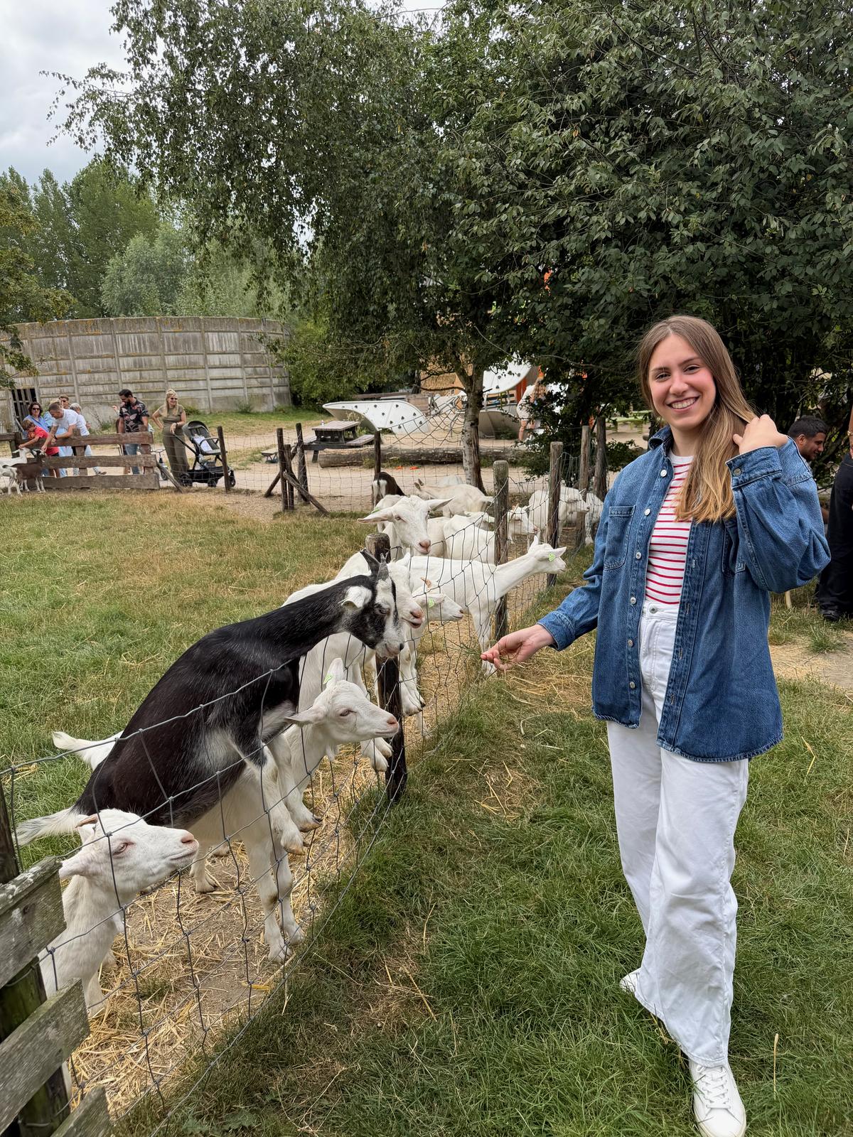 Lilien feeding goats at a petting farm